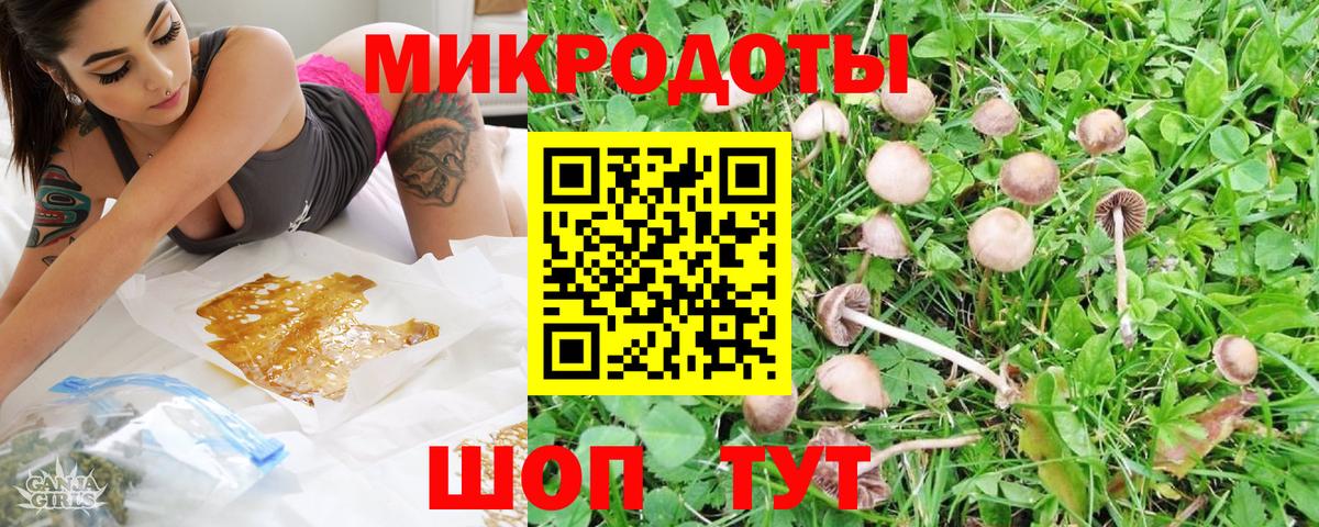Псилоцибиновые грибы мухоморы  Псилоцибиновые грибы прущие грибы  Вход с VPN  Нижний Новгород 